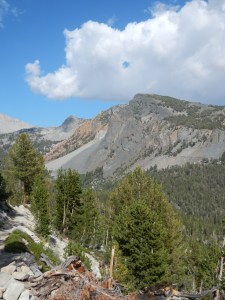 The view up ahead. Very different geology going on!