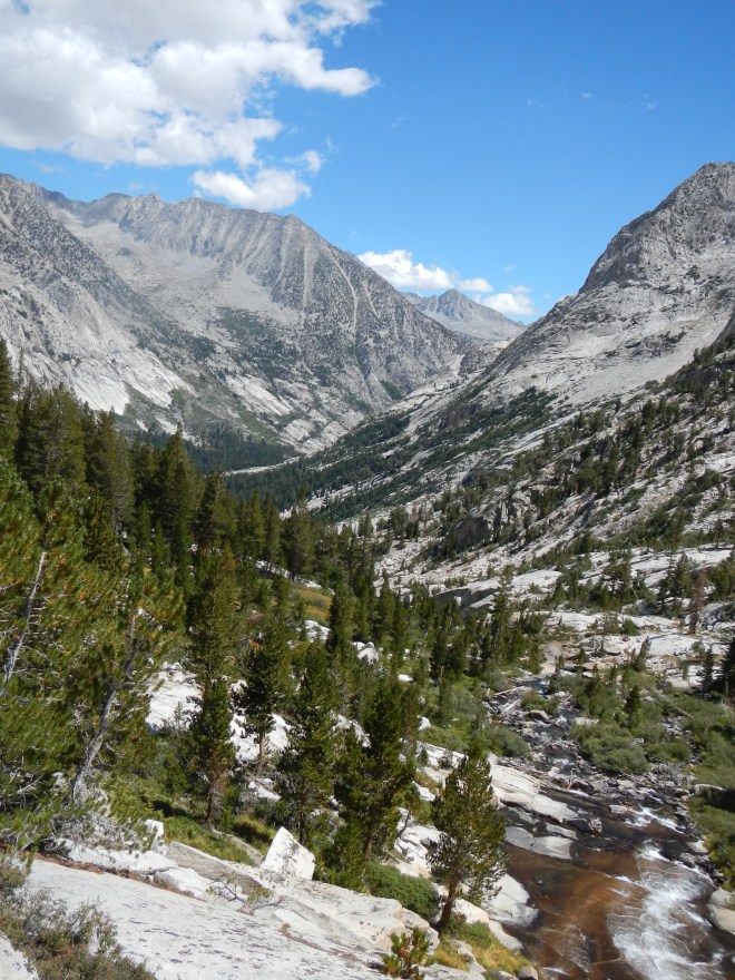 Looking down toward LeConte Meadow. How could you not want to go there?