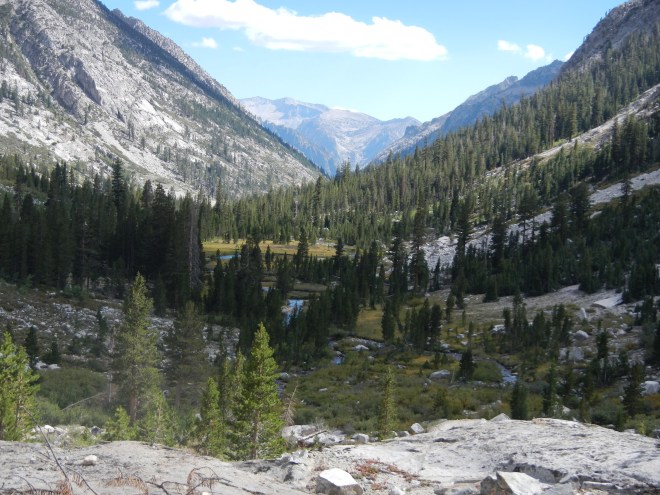 Near LeConte ranger station. 