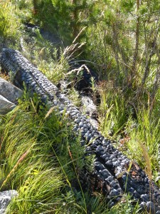 Blistered and burned.