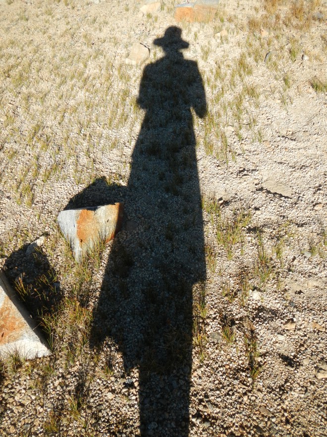 Early morning sun and shadow.