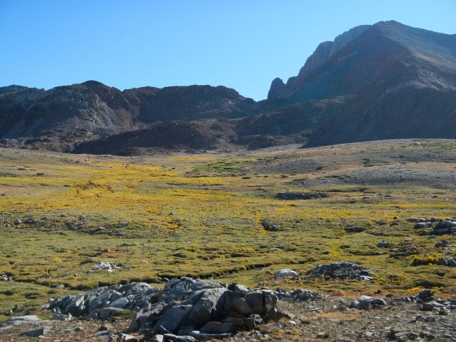 It looks like the Scottish Highlands!