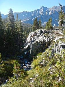 Back in among the trees.