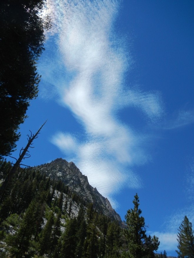 The clouds today were gorgeous: wispy wraiths warning us of changing weather.