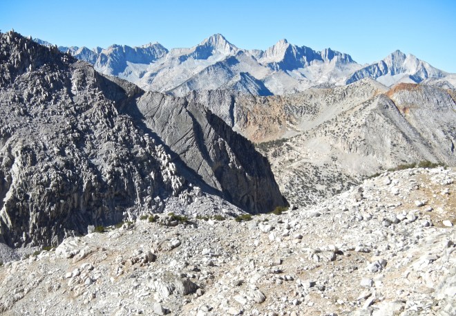 These are some rocky, barren heights up here, but the most likely place to see mountain sheep. What do they eat?