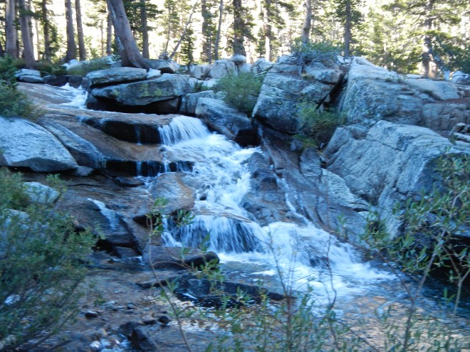 Hiking up from Vidette Meadows, we entered thick woodlands along Bubbs Creek.