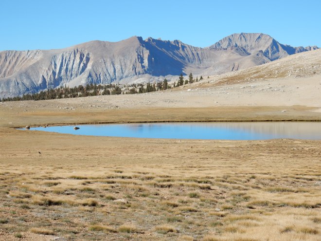 Dry, dry land, and yet there is a lake!