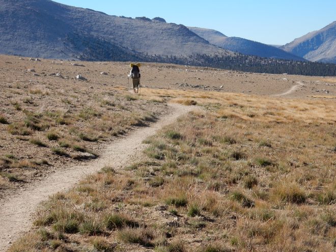 We hiked through long sections of near-desert landscape. Tough bunch grasses and sturdy clumps of low-growing wildflowers, but not much else.
