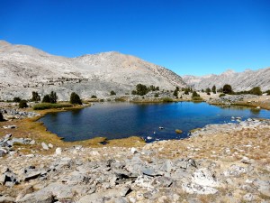 We ate lunch at this lovely little lake, and observed the frogs for awhile.