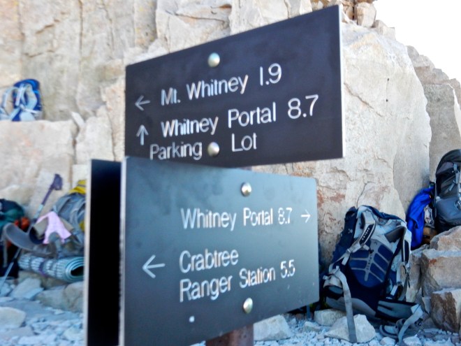 The trail junction sign, and backpack dumping ground.