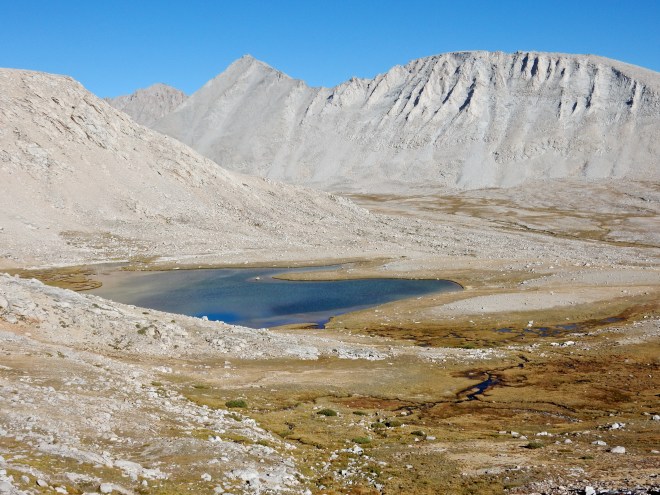 Coyotes were singing far across the valley, somewhere on the far side of this lake.