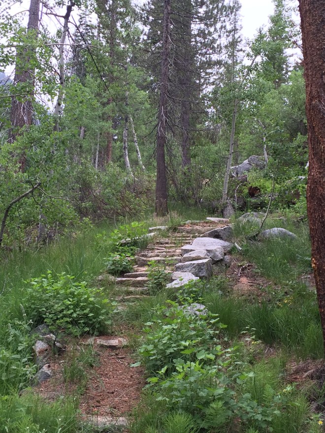 the trail into Deadman Canyon