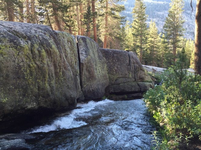 Near our second campsite of the day, at the last stand of lodge poles before Elizabeth Pass.