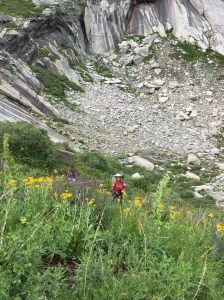 Wildflowers everywhere.