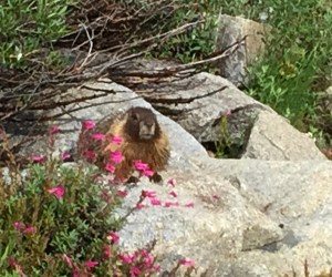 We stop for lunch and have a visitor.