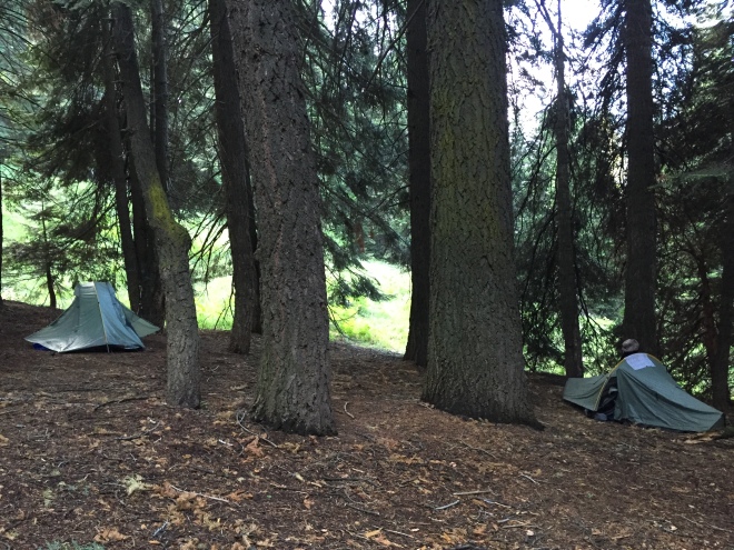 Our campsite, Bearpaw Meadow.