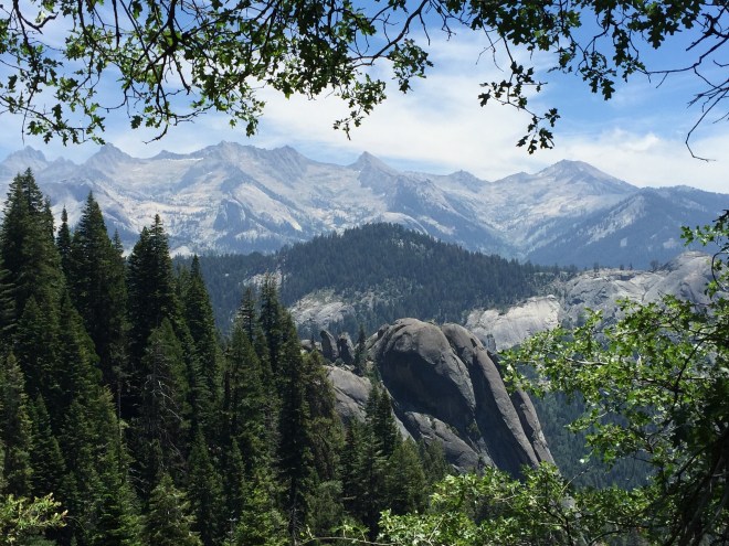 Little Blue Dome in the foreground, looking out across the Keawah River valley