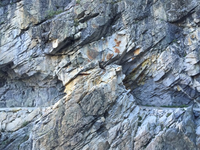 The trail is engineered to snake along tiny ledges on the steep cliffs above Hamilton. In this area, there was a canyon wren singing, magnifying his voice in the narrow canyon. And this really cool little tunnel! I am full of gratitude and admiration for the trail builders of the 1930's who made this trek possible for us flatlanders.